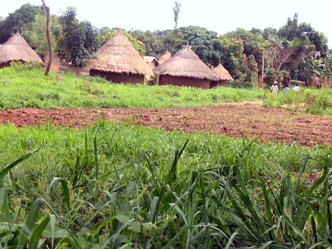 Poor Coverage of Yobe Rural Areas Worrisome – NUJ Chairman