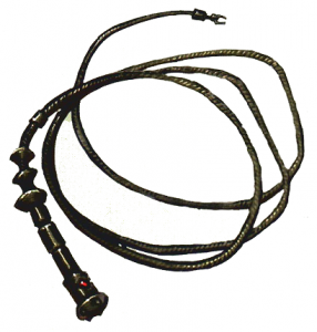 Shock_whip