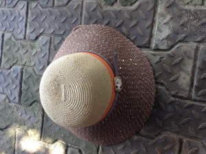 IMG_0817