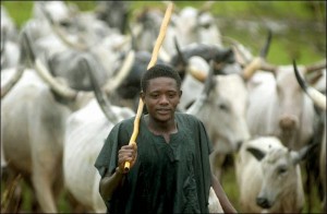 Herdsman